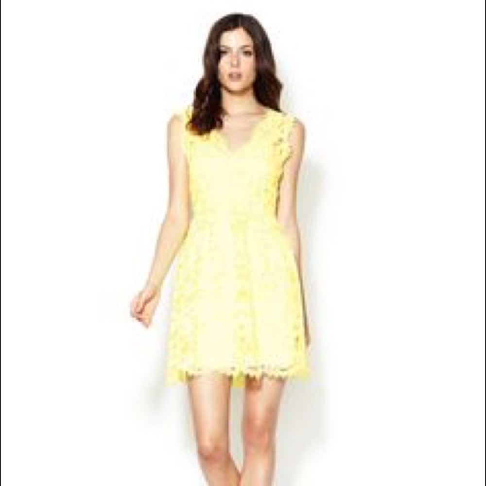 The Letter v-neck fit and flare yellow lace dress